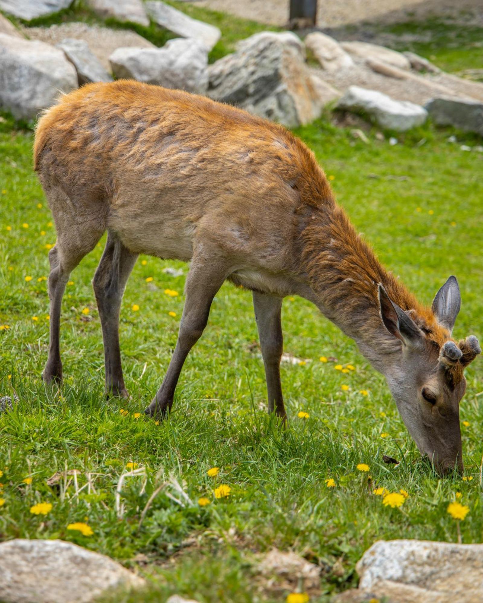Apartmany Lesy A Luky - V Srdci Tatier Vysoke Tatry Luaran gambar